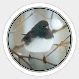 Dark-Eyed Junco Watercolor Sticker